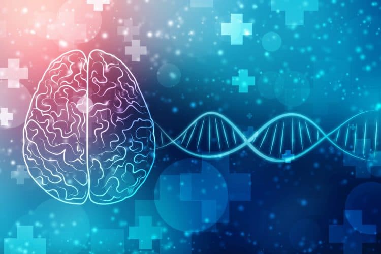 هل يمكن لهوايات بسيطة أن تعيد تشكيل دماغك دون أن تشعر؟